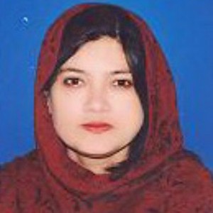 Advocate Tallat  Irfan