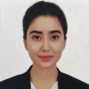Advocate Narmeen  Jamal